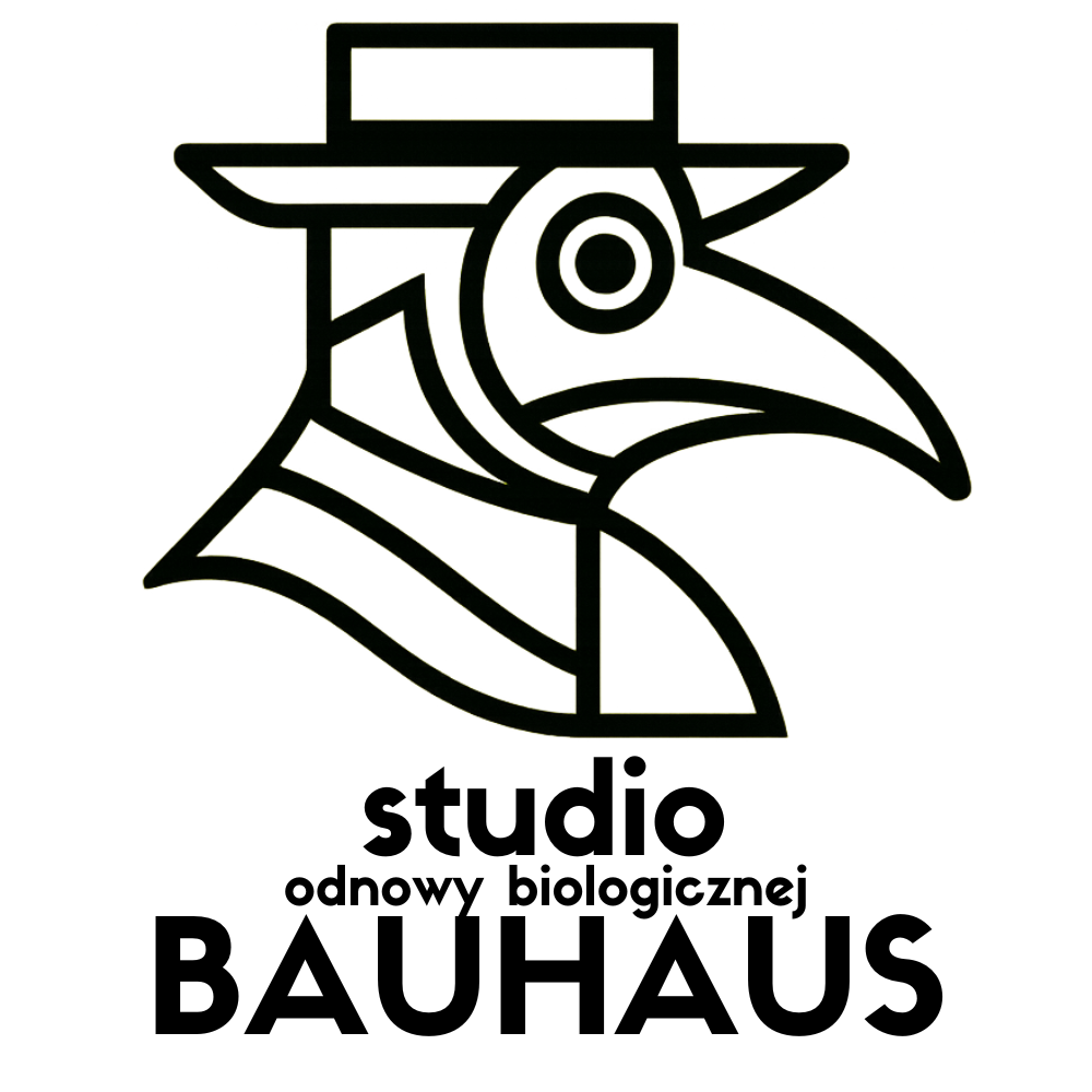 Logotyp studio odnowy biologicznej BAUHAUS