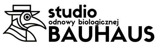Główne logo i nazwa studio odnowy biologicznej BAUHAUS